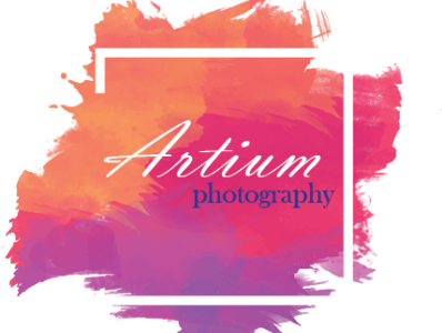 Artium photography logo logo design typography