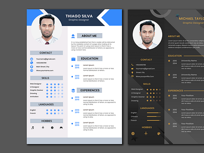 Graphic Resume Design