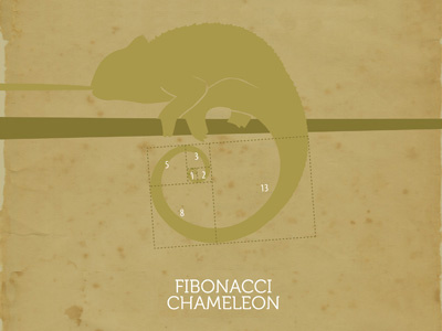 Fibonacci Chameleon chameleon illustration poster texture vector