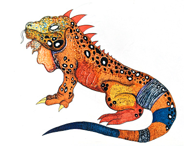 Iguana illustration