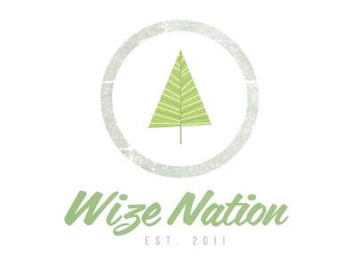 Wize Nation: A branding font logo typography