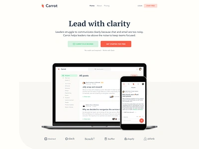 Carrot Home V2 hero home lander marketing agency website