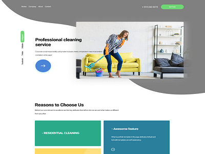 Professional Cleaning Services ui ux
