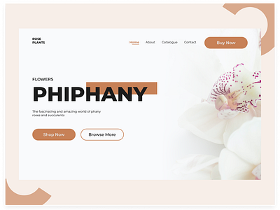 Phiphany Landing Page design figma figmadesign flower landingpage ui uidesign ux uxdesign webdesign