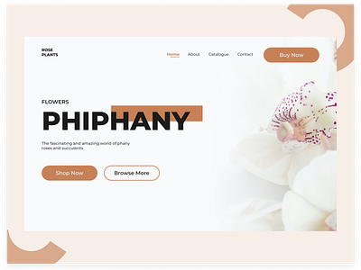 Phiphany Landing Page