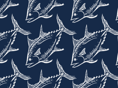 Tuna pattern fish illustration marine life pattern pen and ink tuna