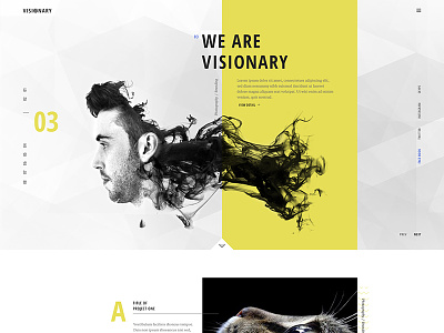 Visionary - Home Portfolio business creative agency portfolio web design wordpress theme