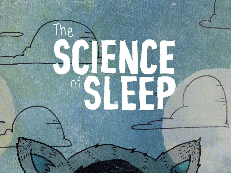 The Science of Sleep handdrawn illustration micahburger scienceofsleep silverscreensociety