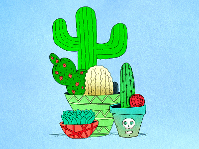 Succulent Illustration cactus digital illustration plants succulent