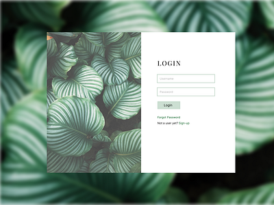 login screen design figma figma ui design login page login page design login screen login screen design ui ui ux webpage website design