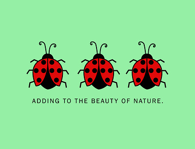 Ladybug design illustration stationery tshirt