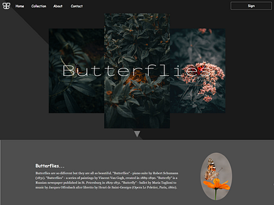 Website about butterflies