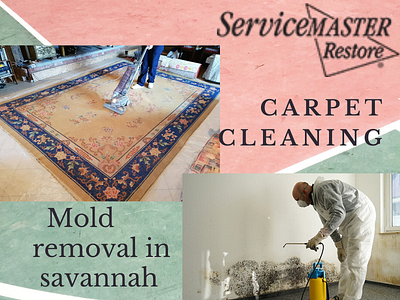 Carpet Cleaning Expert | Service Master Savannah