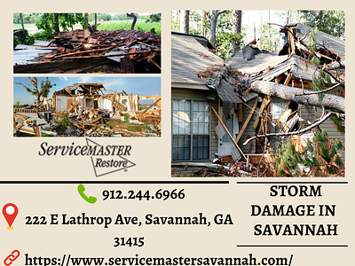 Finding the Right Storm Damage Repair Company in Savannah