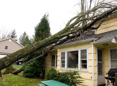 Storm Damage Repair Service | Service Master Savannah storm damage