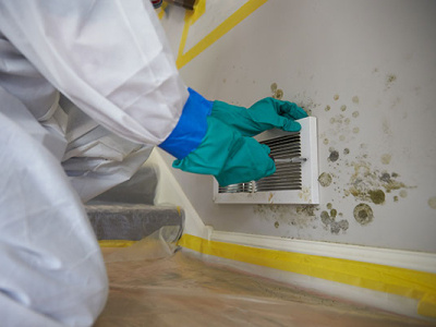 The best company for Mold damage repair in savannah