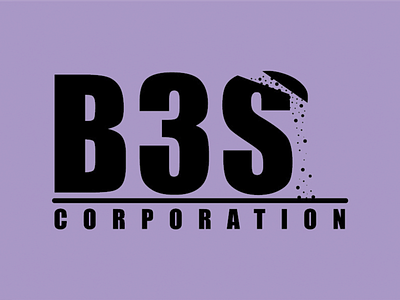 B3S Corporation