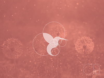 Laville branding design flat grid logo hummingbird logo illustrator logo logodesign logotipe minimal vector