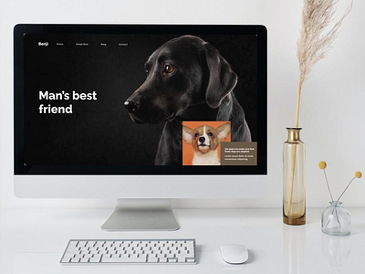 Man’s Best Friend branding design typography ui ux web