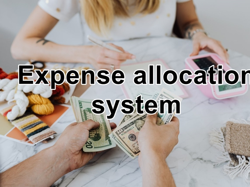 Expense allocation system by Sarah james on Dribbble