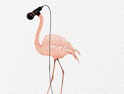Mic Flamingo animals art design digital illustration digital painting digitalart digitalillustration flamingo graphics hybrid illustration illustrator music