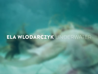 Underwater Photographer logo brand logo photography visual