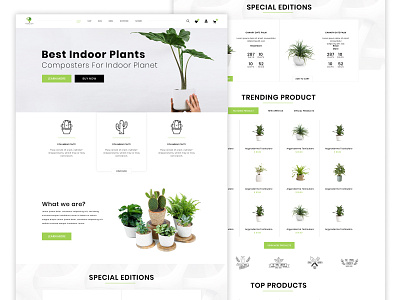 Walifer Plant Website UI Design branding graphic design indoor plant ui web design