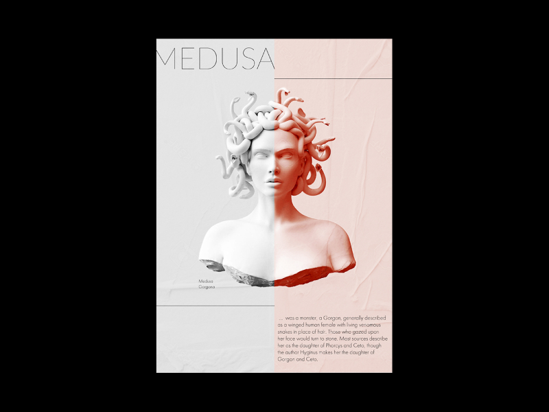 Poster Medusa by Лизавета Чепугова on Dribbble