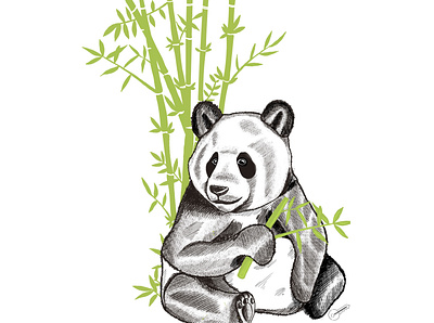 Panda in the bamboo art bamboo design digital drawing green illustration ipadart line drawing panda procreate art sketch