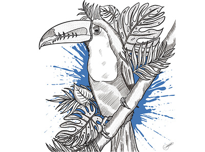 Toucan in a tree art blue design digital drawing illustration ipadart line drawing procreate art sketch toucan tropical