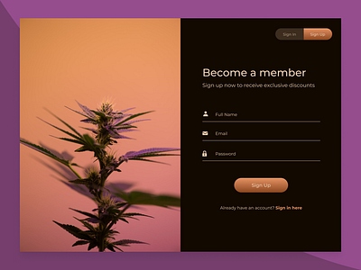 Dispensary Sign Up page cannabis design color palette colorado complimentary colors design challenge dispensary figma interfacedesign marijuana orange product design purple signup page ui userexperiencedesign ux ux design uxui weed