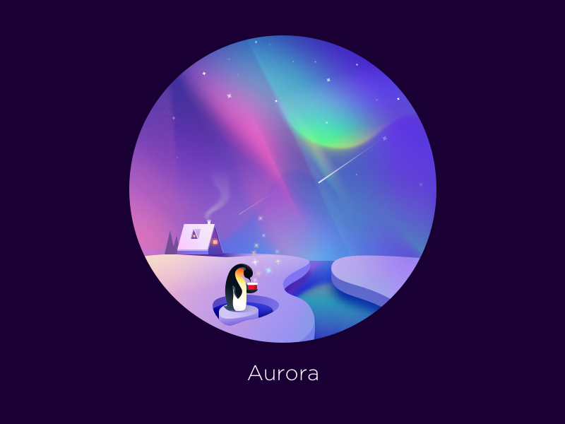 aurora penguin with hat