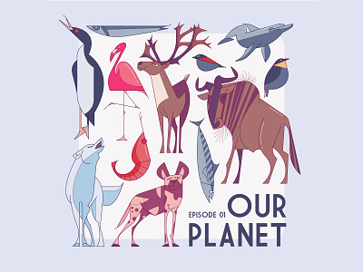 Our Planet character clean david attenborough design flat icon identity illustration illustrator infographic ios lineart minimal netflix ourplanet pictogram tvseries ui vector web