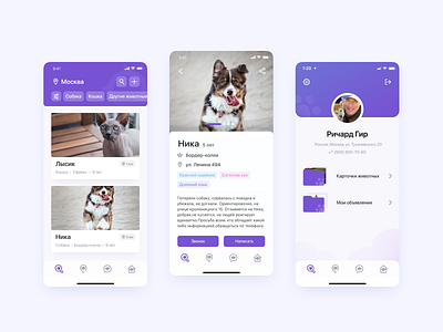 AniFind app design figma flat ui ux web