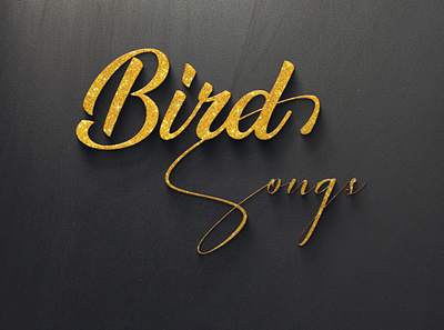 Bird Song Brand 3d branding design illustration logo mockup typography vector