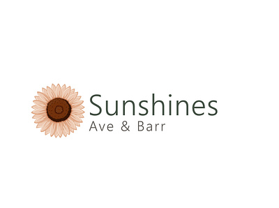 Sunshine Barr branding design graphic design illustration logo mockup typography vector