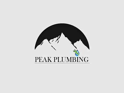 PEAK PLUMBING 3d branding design graphic design illustration logo mockup typography vector