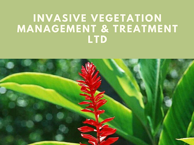 Invasive Vegetation Management & Treatment Ltd