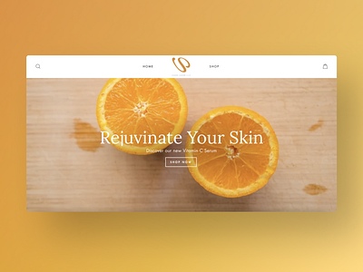 Vshop Luxury Beauty Website Design