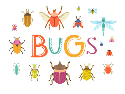 Bugs bugs collection colorful illustration