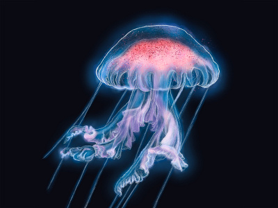 Jellyfish – Digital Painting digital illustration digital painting jellyfish procreate