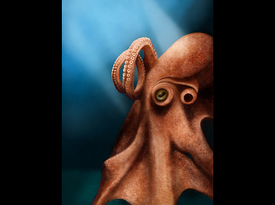 Digital Painting – Octopus digital painting illustration octopus procreate