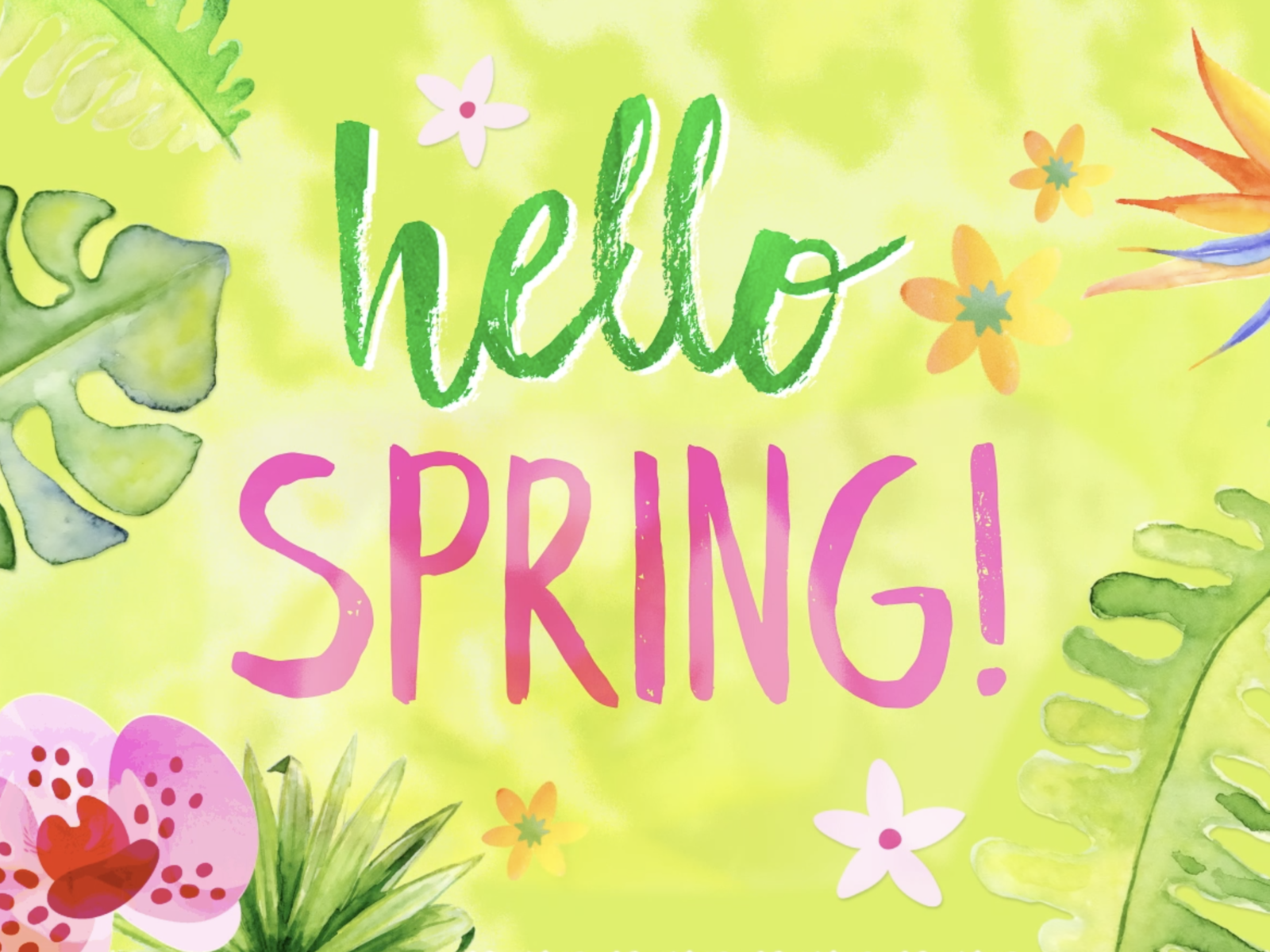 Spring is near. Постеры hello Spring. Hello Spring рисунок. Заставка на рабочий стол hello Spring. Hello Spring надпись.