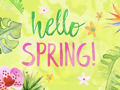 Hello Spring! after effects animation florals happy illustration lettering spring tropical