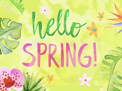 Hello Spring!