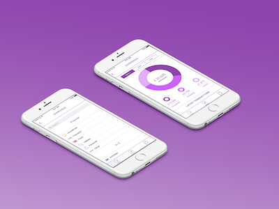 Personal Finance Manager (Brief) design fintech ui ux