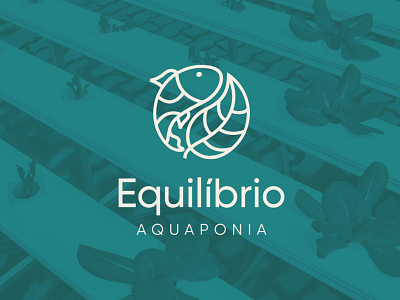 Equilibrio Aquaponia - Logo Design brandidentity branding fish leaf logo logo design logotype plant yinyang