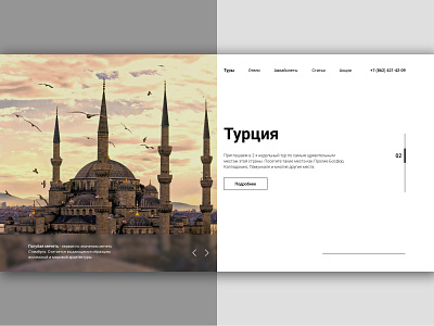 Turkey travel website design ui uiux ux uxdesign vector web webdesign website