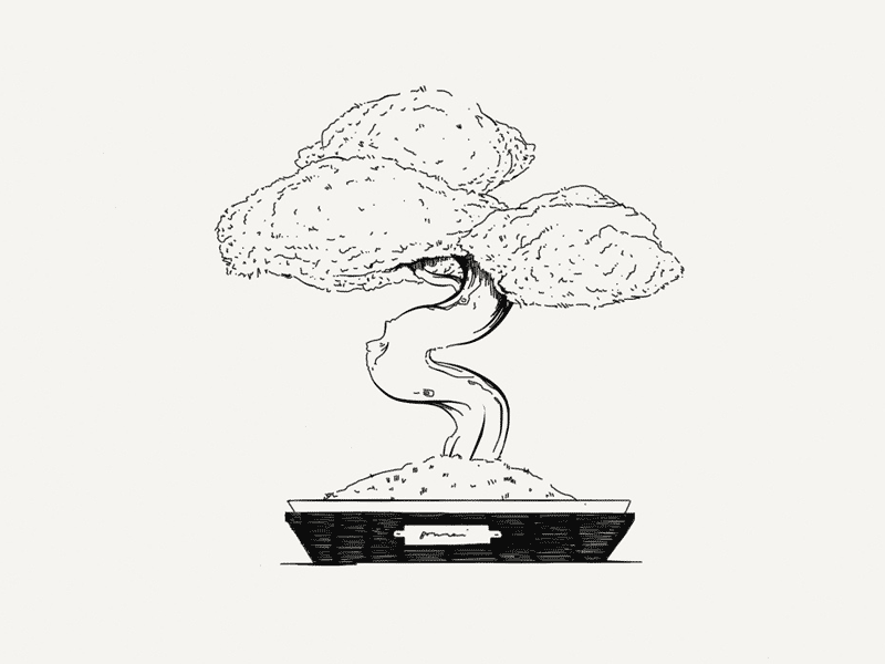 Paper Book: Bonsai bonsai illustration ink minimalist paper 53 tree