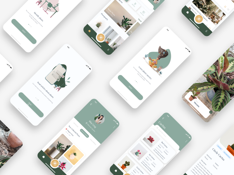 Plant Enciclopedia App UI/UX Concept by micaela rahi on Dribbble